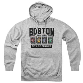Boston 4 Pack Champions Hoodie Gray