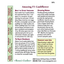 Cauliflower ‘Amazing Taste’