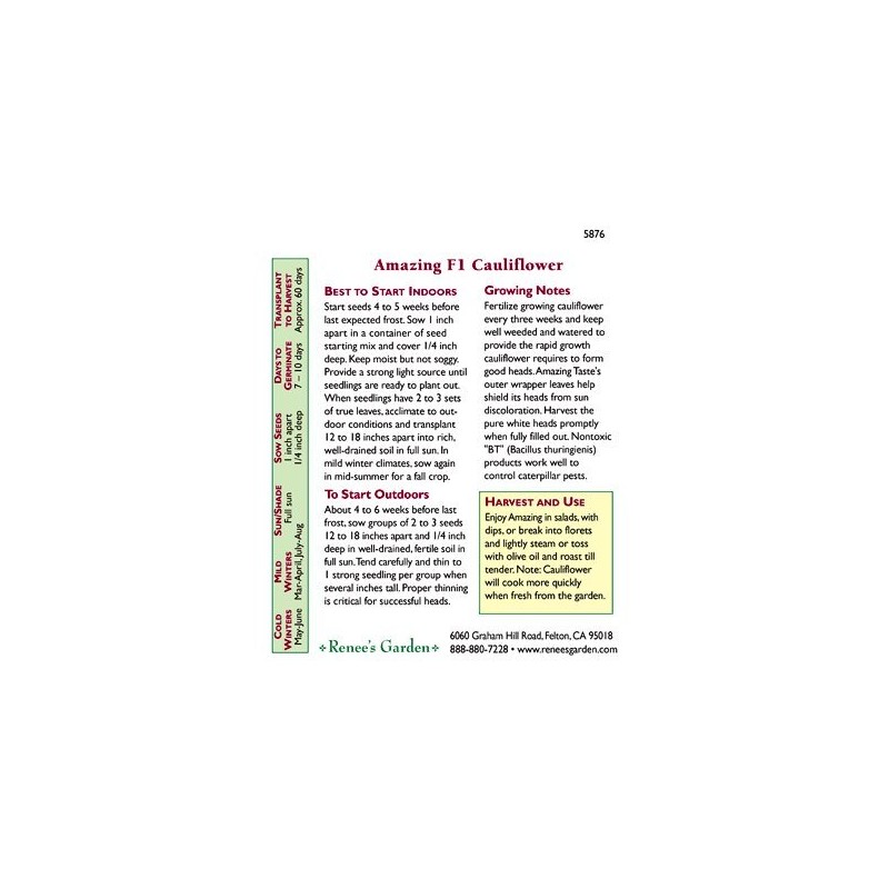 Cauliflower ‘Amazing Taste’