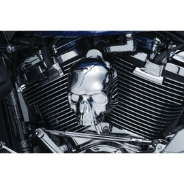 Compatible with Kuryakyn Compatible with Chrome Skull Waterfall Style Compatible with Horn Cover Accent Compatible with Harley Motorcycle 17-18