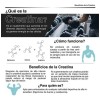 Creatina Monohidrato En Polvo 400g 80 Serv Stamino Labs Sin