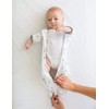 SwaddleDesigns Transitional Swaddle Sack, Arms Up Half-Length Sleeves and Mitten