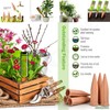 Joyeee Plant Watering Stakes, 4pcs Terracotta Self Watering Spikes Plant
