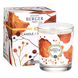Candle - Maison Berger - 100% Vegan Wax Scented Candle - 4.7 x 3.5 x 3.5 inches - 240g - 8.4oz - Made in France (Red Berries)