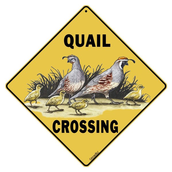 CROSSWALKS Quail Crossing Sign - 12" X 12" Aluminum Sign (X143)