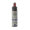Rock Water No. 27 Princeps Original Bach Flowers Stone Water
