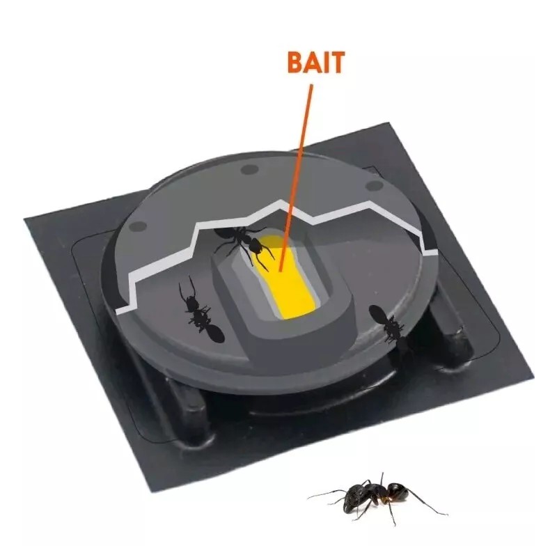 HOMEPLUS Ant Killer - 4 Child-Resistan