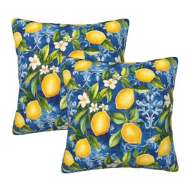 Xzyopcwx Yellow Lemons Pattern 2 Pack Throw Pillow Covers Sofa Cushions Covers Living Room Bedroom Bed Covers Car Lumbar Covers 18x18 Inches