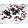 Chocolate World 1865 Polycarbonate Chocolate Mold Rounded-Top-Square Candy Mould with