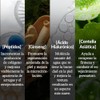 Serum Age-Prevention Reafirmante | Con Ácido Hialurónico, Péptidos y Centella