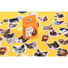 46 Pcs/Pack Kawaii Scrapbooking Stickers Cute Designs Colourful with Cats, Paintings for Decor Applique (Cats)
