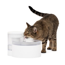PetSafe PetSafe Outlast Pumpless Cat & Dog Water Fountain 60 oz/1.7L Size - 60 oz.