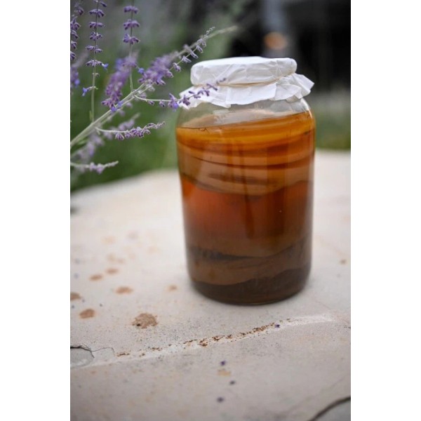 Unbranded Kombucha SCOBY Organic Assam Black Tea 4” Round W/