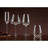 Lenox Tuscany Classics Stemless Glass Set, Buy 4 Get 6,