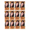 Bigen Pack 12 Tintes, Tono #48 Castano Intenso