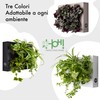 Ortis Green Hang.Oasi.Home - Indoor Vertical Garden, Contains 1 White