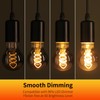 Decoaui Vintage Edison LED Light Bulbs A19, E26 Base, Dimmable