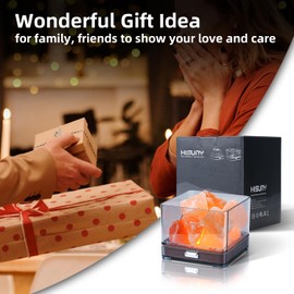 HISUNY Himalayan Rock Salt Lamp, Natural Crystal Salt Light, Mini USB LED Night Lamp with 6 Way Dimmer Switch, Smart Heating Night Light, Sleeping Aid and Stress Relief, Square