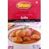 Shan Kofta Curry Mix - 50g (Pack of 6)