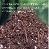 Soil Sunrise Special Nutrient Soil for Clivia Potting Soil Mix,