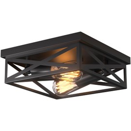 Dchyyds Flush Mount Ceiling Light Fixtures Black Modern Ceiling Lamp 2-Light Bedroom Ceiling Lights, Industrial Farmhouse Metal Cage Close to Ceiling Light fixtures for Kitchen, Hallway, Hall