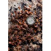 Spice Islands Star Anise, 0.5 Ounce