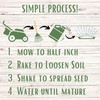 Flawn Seed Kits Tri-Color Clover Seed Plus Mow Less Fine