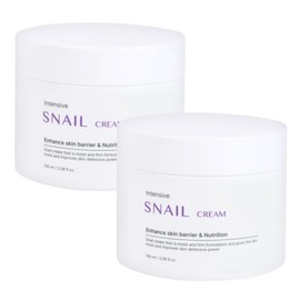 (2ea) Foodaholic Intensive Snail Cream 100ml/Moisture Cream Barrier Strengthening Wrinkle Improvement High Moisture / (2개)푸드어홀릭 인텐시브 스네일 크림 100ml수분크림 장벽강화 주름개선 고보습