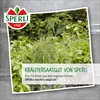 Simplyherbs Multi Pill Greek Oregano Vulgare