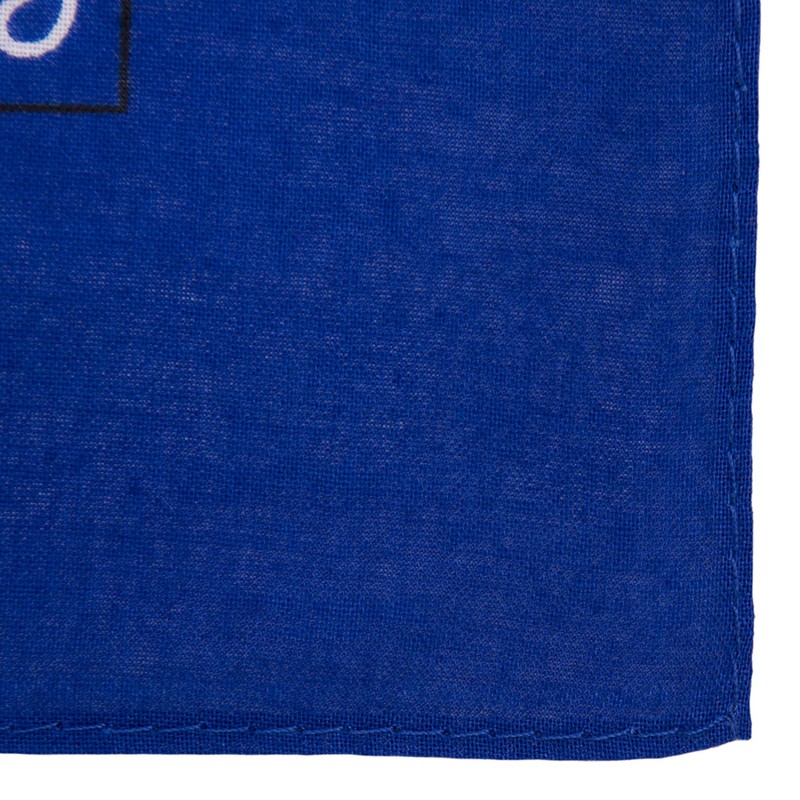 Bandanas grandes 100% algodón Paisley (22 x 22 pulgadas), Azul