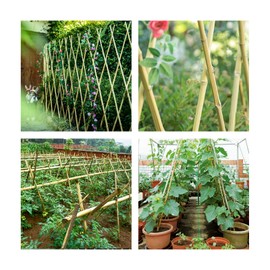 Cambaverd Natural Bamboo Stakes 6ft (180cm), Eco-Friendly Support for Potted and Climbing Plants - Pack of 20 Stakes