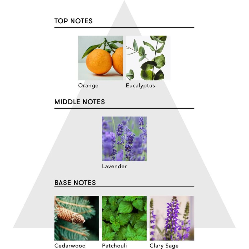 SINN PURETE Pure Booster Oil a