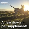 Sensible Pet Supplements 'Liver'. Supplement for dogs and cats supporting