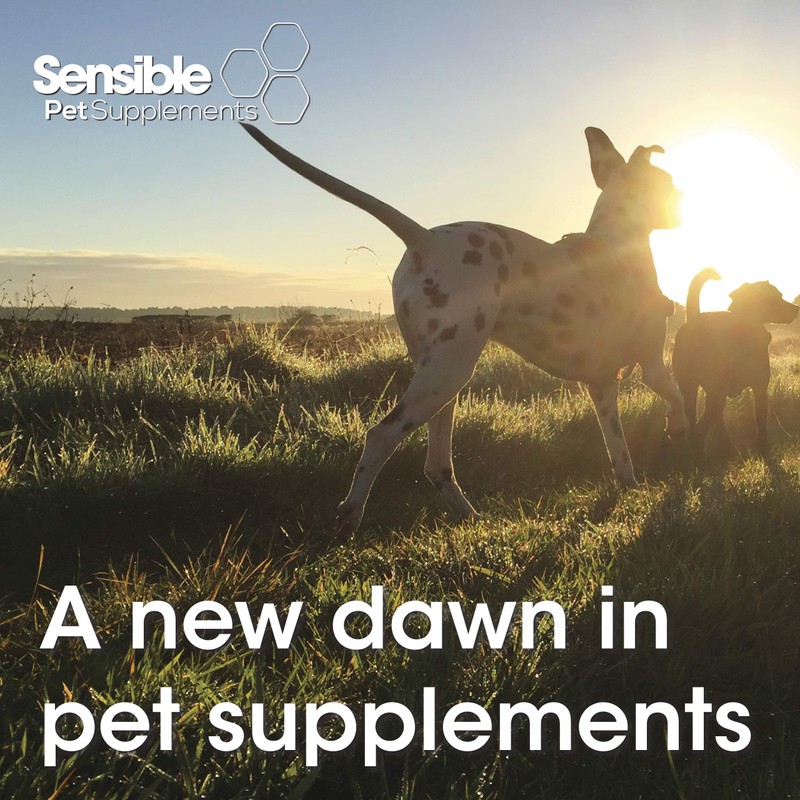 Sensible Pet Supplements 'Liver'. Supplement for dogs and cats supporting