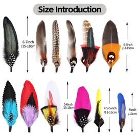 FeelfunFeather 12PCS Hat Feathers, Natural Colorful Feathers for Western Cowboy Hats,Christmas Party Hats,Fedora, Oktoberfest,Trilby Hats