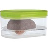 Kitchen Discovery Avocado Holder- Airtight, No Mess Avocado Storage Box-