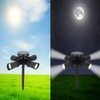 Waterproof Solar Lawn Lights LED Spotlight Landscape Lighting for Outdoor