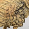 Bits and Pieces - Life Sized Decorative Chicken Statue-Farm Animal