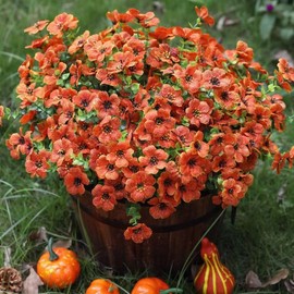 HyeFlora Artificial Fake Fall Plants Flowers for Outdoor Outside, 12 Bundles Faux Autumn Orange Silk Mums UV Resistant Look Real for Planter Porch Patio Garden Decoration