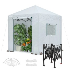 WORKPRO 8'x 8'/8'x6' Portable Walk-in Greenhouse Instant Pop-up Heavy Duty NEW - 8X 8 ft-White, Large