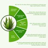 Flor de Aloe GEL Hidratante y humectante para la piel