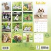 Carousel Calendars, Rabbits 2025 Wall Calendar
