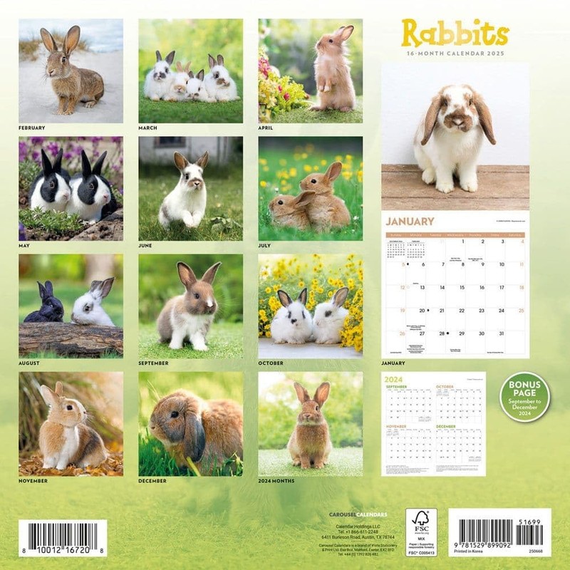 Carousel Calendars, Rabbits 2025 Wall Calendar