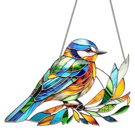 LUMOOM Window Decoration Hanging Modern Acrylic Bird Pendant with Chain, Colourful Light Catcher, Hummingbird Suncatcher for Hanging on Windows, Window Hangings, Windows, Doors, Window Hanger