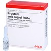 Prostate Suis Injeel Forte Ampoules Pack of 10