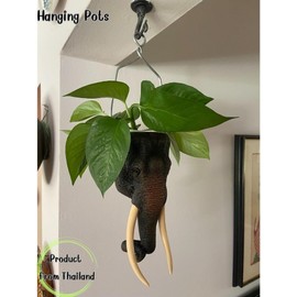 Plant Pots Elephant Pot Planter, Resin Garden Fence Window Wall Mount Planter Animal Indoor Outdoor Hanging Flower Pot for Small Plants Gold Silver Copper Black Color Size 9x9x18 cm (for pots 6.5 cm)