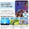 Bluetooth LED Speaker Compact for Lighting Rail Bluetooth 12W with