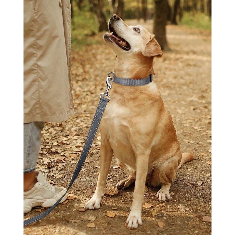 TagME Reflective Nylon Dog Collars, Adjustable Classic Dog Collar with