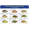 Express Yourself Sunfish Family Ident-I-Card - Freshwater Fish Identification Card