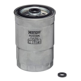 Hengst H299WK Fuel Injectors